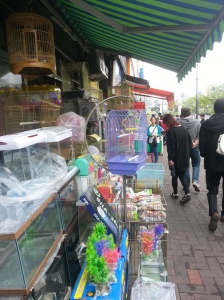 Dongdaemun Pet Alley